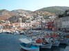 Hydra